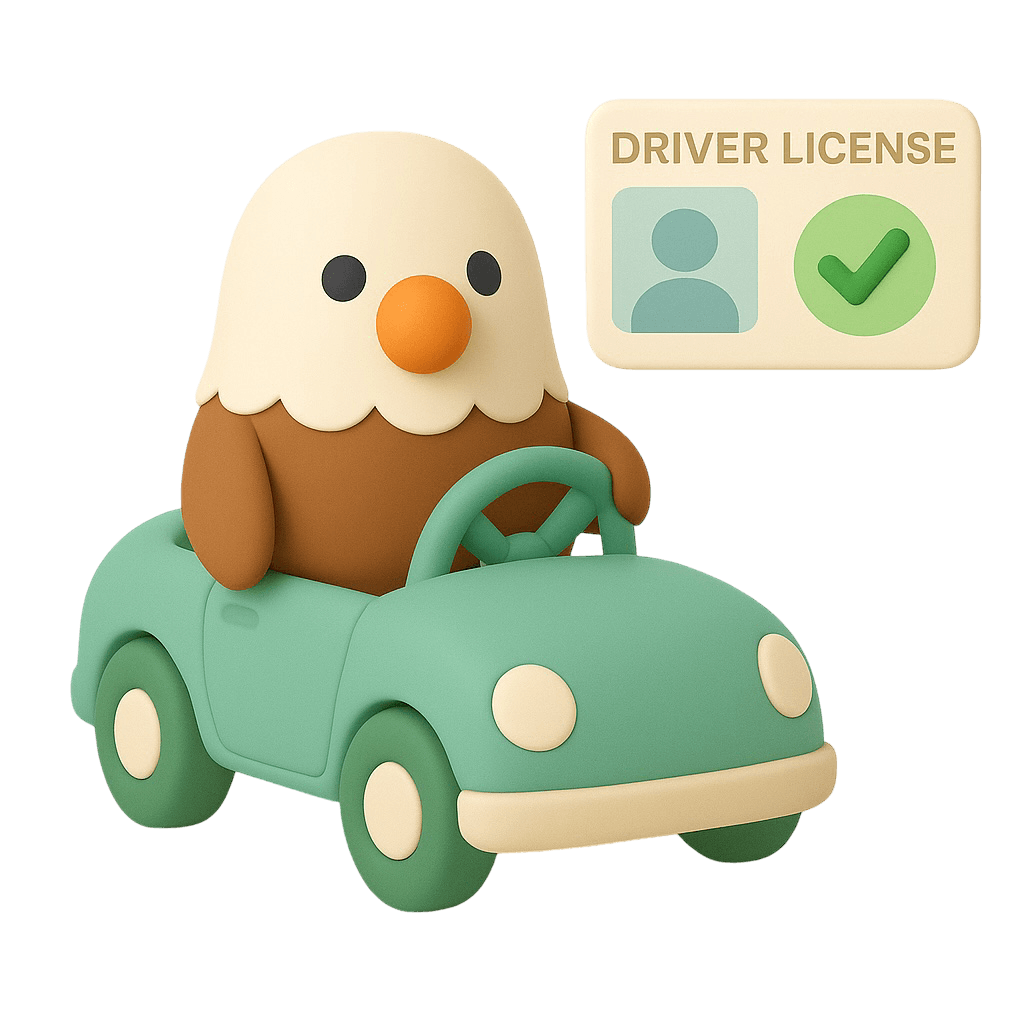 US Driver's License illustration